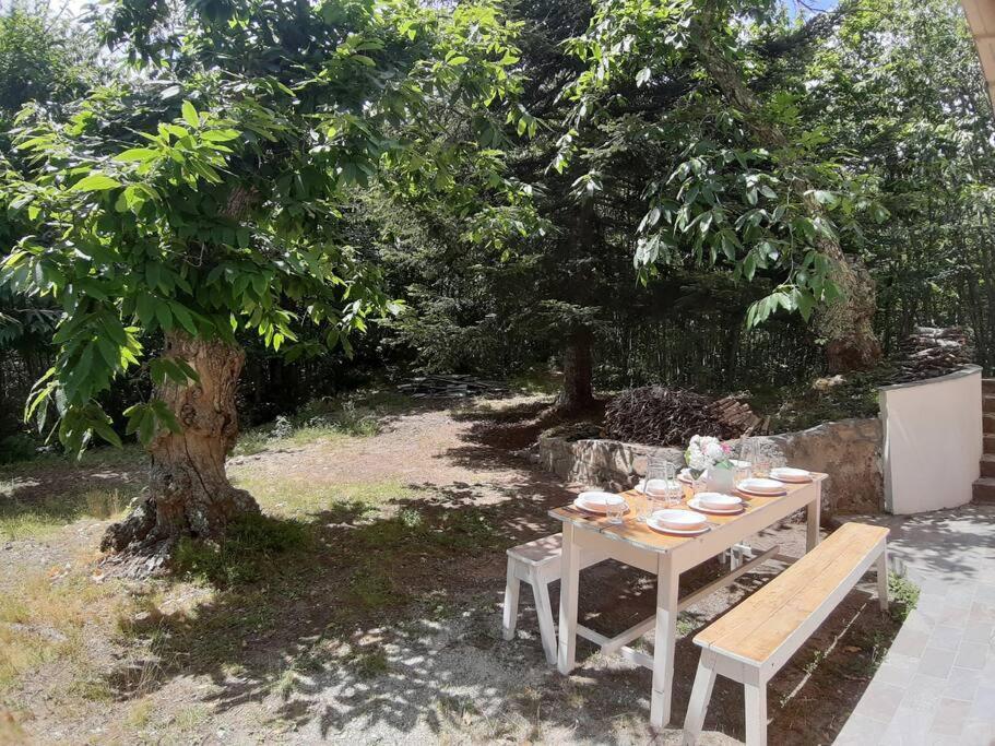 Casa Del Castagno: Un Nido Nel Castagneto Villa Pistoia Buitenkant foto