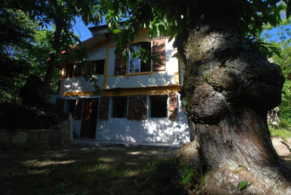 Casa Del Castagno: Un Nido Nel Castagneto Villa Pistoia Buitenkant foto